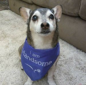 Meet your Posher, Peni